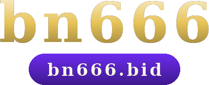 bn666 logo